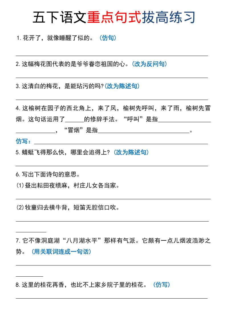 五年级下语文《重点句式》拔高练习